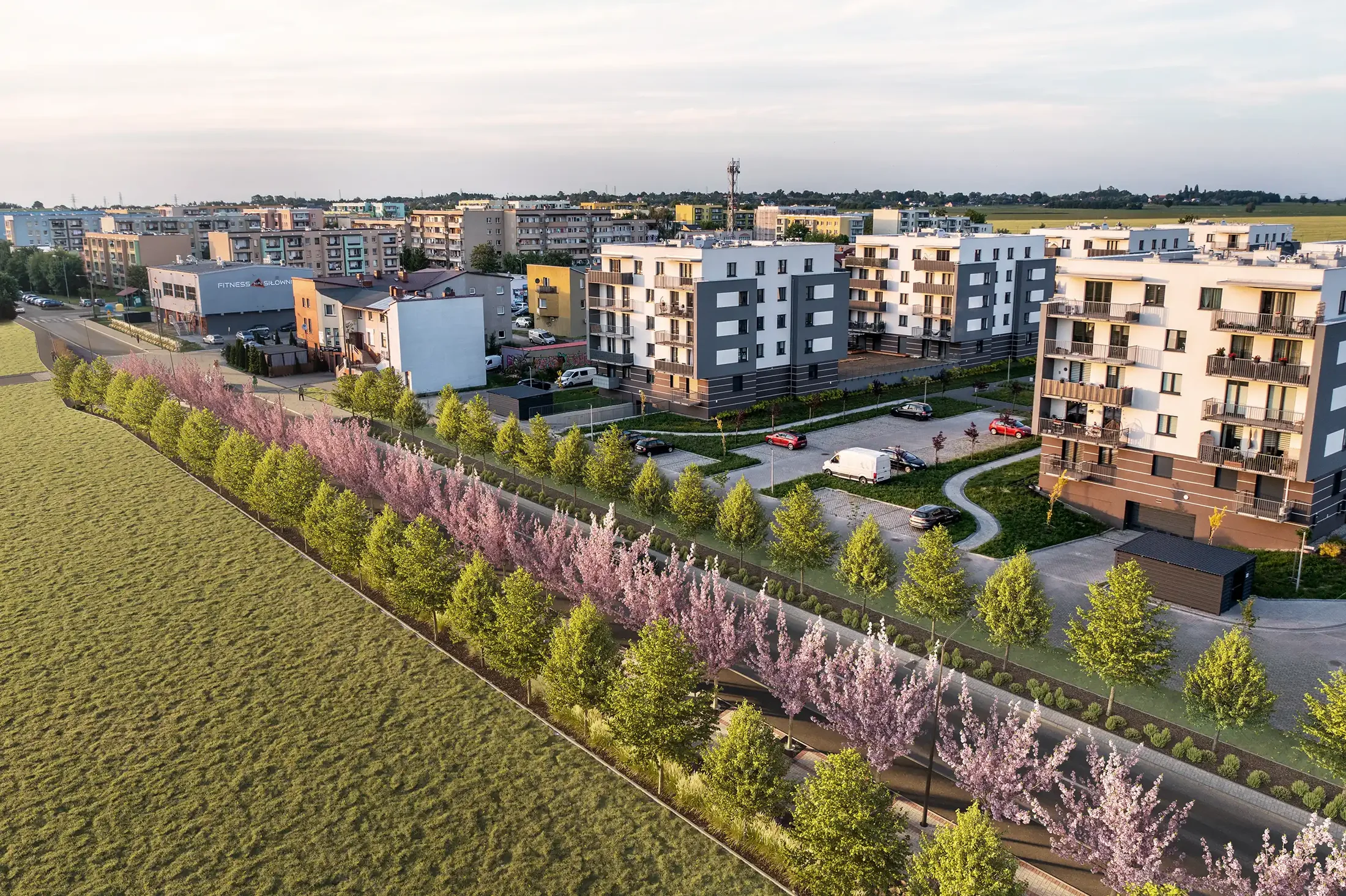 Knurów Witosa — wizualizacja 5